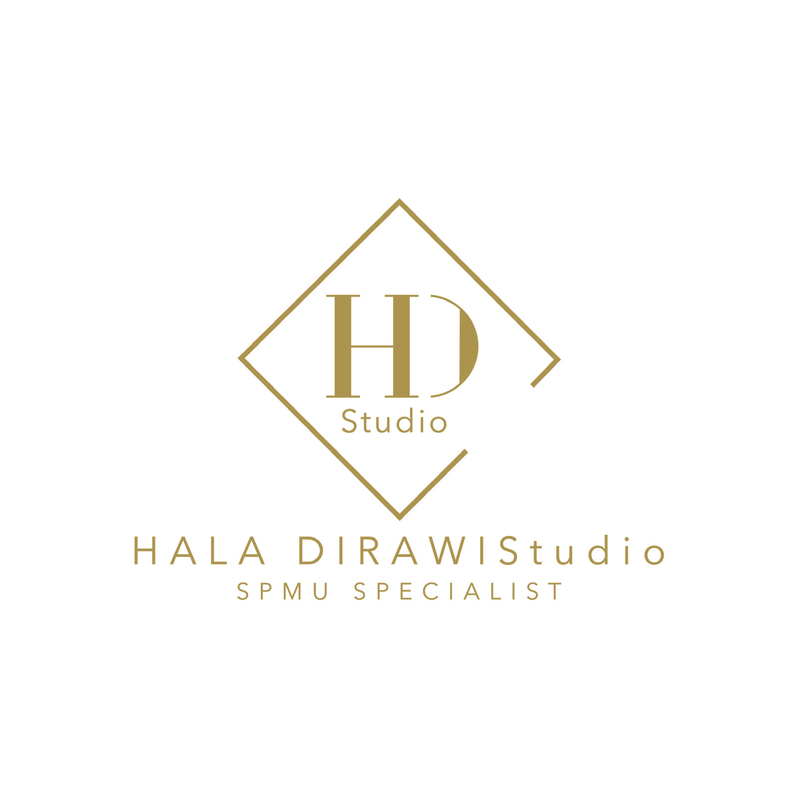 hds logo